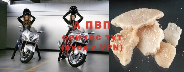 прущие грибы Осинники
