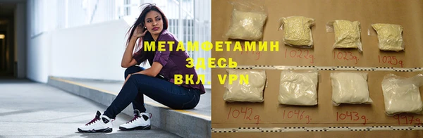 прущие грибы Осинники