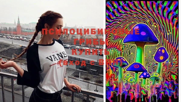 прущие грибы Осинники