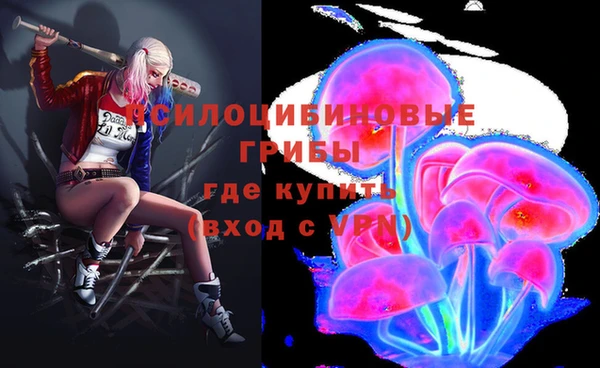 прущие грибы Осинники