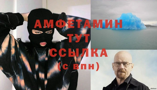 прущие грибы Осинники