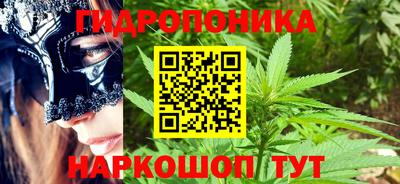 шишки Беслан