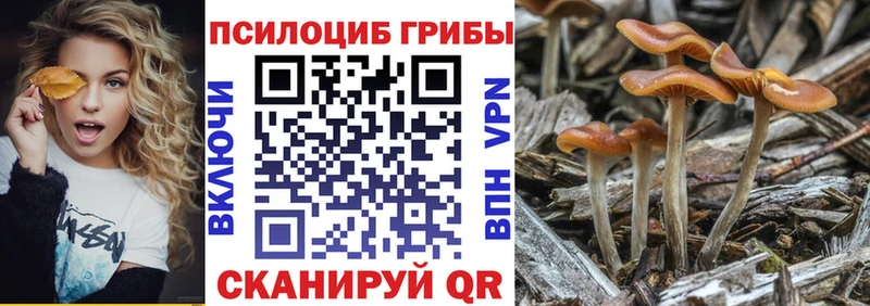 Псилоцибиновые грибы мухоморы  Ивантеевка 