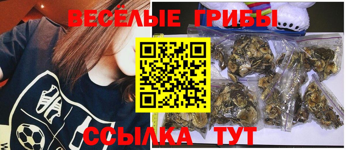 Галлюциногенные грибы GOLDEN TEACHER  где купить наркоту  Псилоцибиновые грибы мухоморы  Ивантеевка 