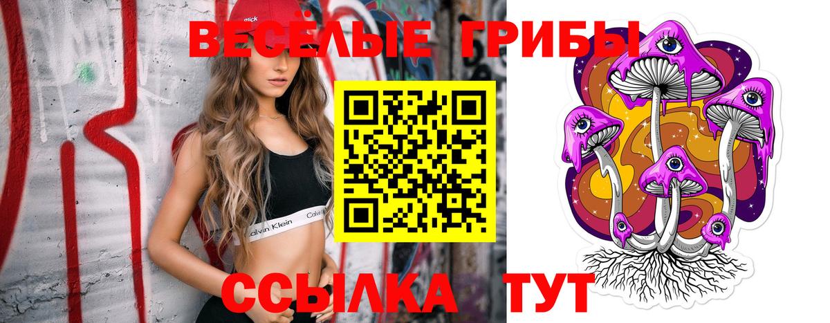 Галлюциногенные грибы ЛСД Ивантеевка